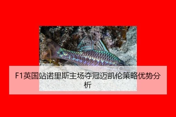 ying-guo-zhan-nuo-li-si-zhu-chang-duo-guan-mai-kai-lun-ce-lve-you-shi-fen-xi-3-863.jpg